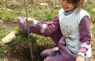 Tree planting event in Iran