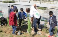 Our second tree planting event in Iran