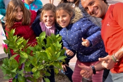 Tree planting in schools