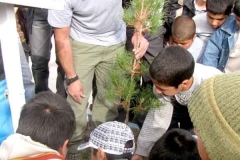 Tree-planting-Birjand-(19)