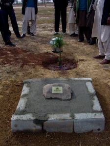 Planting tree in Islamabad