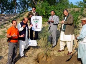 Planting tree in Lahor
