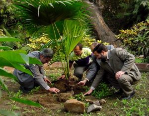 Planting in Iran Cultur house