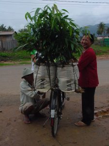 Kampot to Phnom Penh