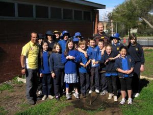 Planting tree in Lefere Peninsula Primary School