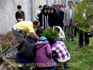 Planting tree in Iranian school 