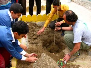 Planting tree in Birjand