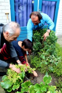 Planting tree in Den Haag