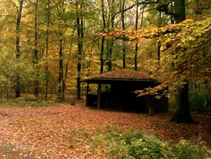 Cycling from Bielefeld to Berlin