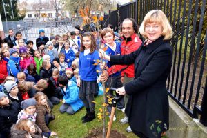 Planting tree in British school, Warsaw