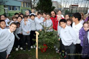 Planting tree in British school (Bratislava- Slovakia )