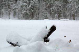 Cycling in winter...some hard challenges!!