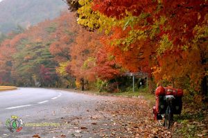 Cycling through beautiful autumn in Korea