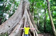 A 10 km walk through Amazon forest